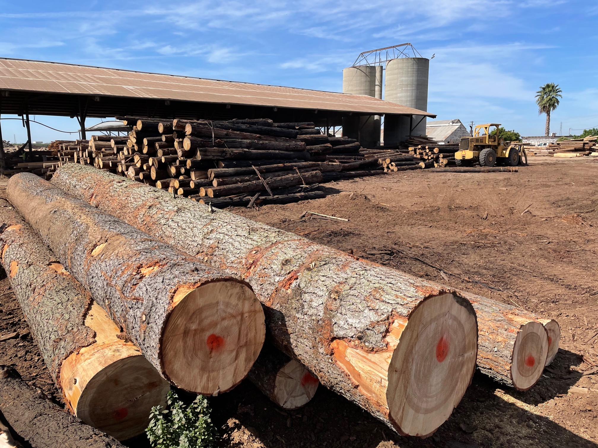 Welker's Custom Cut Lumber - Saw Mill in Fresno